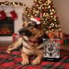 3D Crystal Cube  XXXL Size 57 inch Custom Laser Engraved Photo & Text with LED Base Personalized Keepsake for Pet, Family, Child Elegant Display Gift for Wedding, Anniversary, Celebration view 4