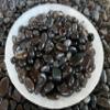2 oz Lot Natural Black Obsidian Semi Tumbled Gemstone Chips, Crushed Mini Crystals, Undrilled Crystal Chips (Black Obsidian) view 4