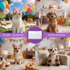 Pai Sence Purple Half Birthday Hats Glitter Crown Hats with 1/2 Number Birthday Crown Hat with Flowers view 4