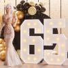Bugame Light Up Numbers 4FT, Number 65 Light Up Sign Marquee Numbers 4 Feet Tall, Large 65 Marquee Number for 65th Birthday Party Decorations Mosaic Nmero view 1