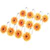 Jacobean Sunflower Bath Collection - Set of 12 Shower Hooks, Yellow, 2139212 view 1