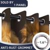 18TH CROZY Lion Door Curtains for Doorways, Africa Animal Majestic Jungle King Blackout Curtain for Kids Bedroom Closet, Grommet Thermal Insulated Privacy Door Drapes for Room Divider, 34" W x 80" L view 4