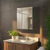 Fine Fixtures Bathroom Medicine Cabinet, Aluminum, Recessed/Surface Mount, 30" x 36", Right/Left Hinged, Mirrored Interior view 2