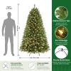 SHareconn 7ft Prelit Artificial Classic Spruce Christmas Tree view 2