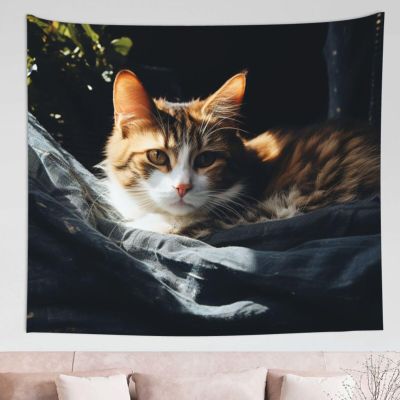 HCLYvexiria Tapestry Wall Hanging 60 x 51 in Decorates Tapestrys for Living Room Resting Cat Wall Tapestry Soft Aesthetic Wall Decor Tapestries for Dorm Room Personalized Wall Blanket
