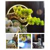 Tabletop Water Fountain Indoor Relaxation Desktop Fountain Waterfall, Zen Meditation Indoor Waterfall Feature with Pump and Water Mist, Illuminated Waterfall for Home Office Bedroom Desk Dcorati (A view 3
