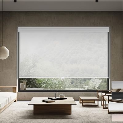 Sulugood Light Filtering Roller Shades for Windows Cordless Solar Roller Blinds 10% Openness with Cassette Valance Room Darkening & Heat Insulated Window Shades for Home Office,Off White,73"W x 56"H