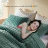 LEAONME Velvet Quilt California King-118''x106'', Lightweight Aqua Green Velvet Comforter Set with 2 Pillow Shams, Soft Oversized Bedspread Coverlet Quilted Bedding Set for All Season view 3