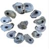 Natural Oyster Shells for Arts and Crafts with Holes at The top, Cleaned Unscented 20 Pieces per Pack. Not Polished or Sanded. Size: 2-5 inches on Average. view 1