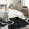 TANTANICAL Abstract Rug 4x5, Black and White Rugs for Bedroom Living Room Decor, Art Deco Area Rug, Washable Non Slip Stain Resistant Home Indoor Carpet view 2