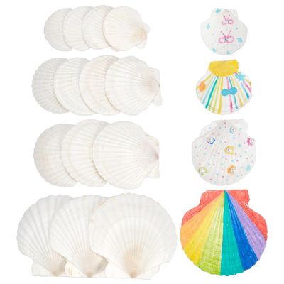 NBEADS 14 Pcs 4 Sizes Large Natural Scallop Shells, 2.93-4.49 Inch White Seashells for DIY Craft Natural Scallop Shell Painting Accessories for Ocean Themed Parties and Home Decor