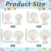 NBEADS 14 Pcs 4 Sizes Large Natural Scallop Shells, 2.93-4.49 Inch White Seashells for DIY Craft Natural Scallop Shell Painting Accessories for Ocean Themed Parties and Home Decor view 2