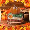 FairySandy 4 Pcs Thanksgiving Decorations for Home Fall Tiered Tray Decor Wood Book Stack with Sign Autumn Stacked Book Decor Bundle for Office Table Shelf Decorative Trays(Pumpkin) view 2