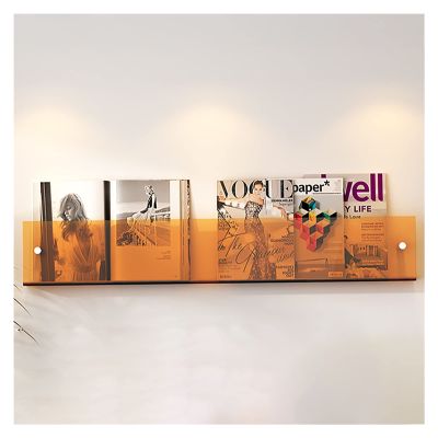 Clear Acrylic Brochure Holder 20'' Acrylic Brochure Holder Wall Mounted, Floating Bookshelf Magaine Rack,Adjustable Hanging Magazine Holder for Office, Waiting Room,Church,Coffee Shop,Home Display(Col