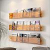 Clear Acrylic Brochure Holder 20'' Acrylic Brochure Holder Wall Mounted, Floating Bookshelf Magaine Rack,Adjustable Hanging Magazine Holder for Office, Waiting Room,Church,Coffee Shop,Home Display(Col view 2