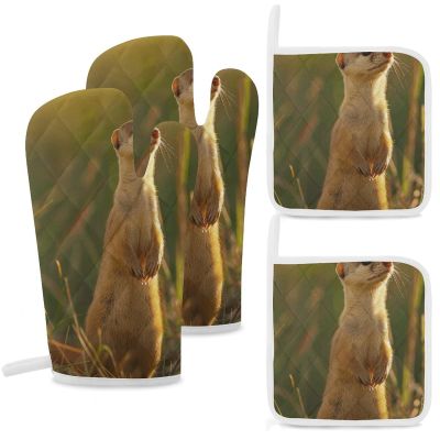 4 Pcs Oven Mitts and Pot Holders Heat Resistant Kitchen Oven Mitts with Pot Holders Stand on Hind Legs Microwave Gloves Non-Slip Kitchen Hot Pads Set for Baking Cooking BBQ
