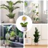 LAFANDE Crochet Flowers Potted, Knitted Plants Flower Potted, Cute Knitted Flower Ornament, Handmade Car Crochet Center Console Decoration, Desk Flowers Plant Decor view 4