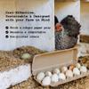 Hatortempt Reusable Paper Pulp Egg Cartons - 48-Pack, 12-Count - Pre-Printed Cartons for Date Labeling - Versatile Egg Baskets for Market & Home - Biodegradable Bulk Packs for Easy Transport view 3