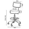 HomeLoft Basics Swivel Rolling Chair Height Adjustable Round Seat Stool with Backrest, Aluminum Alloy 5 Claws, Stainless Steel Footrest and Wheels(Color:Light Brown) (Blue) view 2