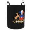 Coat of Arms of Chile Clothes Hamper Round Collapsible Storage Laundry Hamper For Bathroom Bedroom Dorm Small view 2