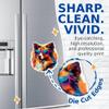 (2 Pack) Shetland Sheepdog Dog Magnets - Shetland Sheepdog with Sunglasses - Choose FromOver 100 Dog Breeds - 5" On Longest Side - Premium Magnet - Made in USA - MAG0396 view 2