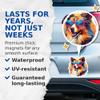 (2 Pack) Shetland Sheepdog Dog Magnets - Shetland Sheepdog with Sunglasses - Choose FromOver 100 Dog Breeds - 5" On Longest Side - Premium Magnet - Made in USA - MAG0396 view 4