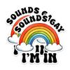 (2 Pack) Sounds Gay I'm in Magnets - Funny LGBTQ Magnet Gay Pride - 5" On Longest Side - Premium Magnet - for Cars, Refrigerators, Toolboxes, Lockers - Made in USA - MAG0472 view 1