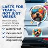 (2 Pack) Soft Coated Wheaten Terrier Dog Magnets - Soft Coated Wheaten Terrier with Sunglasses - Choose FromOver 100 Dog Breeds - 5" On Longest Side - Premium Magnet - Made in USA - MAG0403 view 4