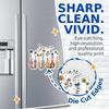 (2 Pack) You are Amazing Special Important Magnets - Positive Qualities Inspiring - 5" On Longest Side - Premium Magnet - for Cars, Refrigerators, Toolboxes, Lockers - Made in USA - MAG0455 view 2