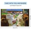 Animals Cow Bull Farm Beach Towel 51"x31" Quick Drying Camping Towel Lightweight Sand Free Absorbent Soft Towel for Beach, Swim Pool, Gym, Sports Vacation Essential Gift view 2