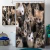 4 Pcs Lovely Cats Bathroom Shower Curtain Set with Rugs,Toilet Lid Cover, Bath Mat Cute Cats Kawaii Animals Kitten Bathroom Shower Curtain with 12 Hooks Accessories Decorative view 3