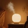 CWXKGL Humidifiers for Home Humidifier Large Capacity Aromatherapy Household Silent Bedroom Small Pregnant Woman Baby Office Mini Air-conditioned Room Air Replenishing Spray Car Desktop Home Dormitory view 2