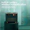 CWXKGL Plant Humidifier Phonograph Cute Mini USB Air Humidifier Desktop Warm Night Light Large Capacity Water Diffuser Inner Battery Wireless Mist Maker view 2