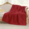 Amlie Home Checkered Chenille Knit Throw Blanket for Couch, Classic Texture Decorative Soft Blanket for Sofa, Chair & Bedroom, 50"x60", Christmas Red view 4