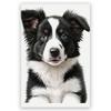 JYzymuth Border Collie Dog Wall Art Canvas Painting Prints Cute Picture Animal posters Kids Bedroom Living Room Pet Lovers Painting decor 12x18inch Unframed view 1