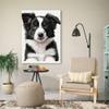 JYzymuth Border Collie Dog Wall Art Canvas Painting Prints Cute Picture Animal posters Kids Bedroom Living Room Pet Lovers Painting decor 12x18inch Unframed view 3