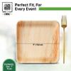 2 ZEBRAZ Premium 7 Palm Leaf Disposable Plates  Set of 50, Heavy-Duty Appetizer Plates, Compostable & Microwave Safe, Natural Plastic Alternative for Parties & Desserts view 2