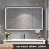 Bathroom Medicine Cabinet With LED Lights And Mirror,lighted Medicine Cabinet With Defogger,bathroom Organizer,lighted Medicine Cabinet With Mirror,medicine Cabinet Organizer With Tissue Dispenser Hol view 2