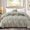 The OutNeT Comforter King Size Duvet Insert, Down Alternative Ultra-Soft 600+ Fill Power, Lightweight Premium Bedding Comforter for All Seasons with 8 Tabs.(Silver,102x90) view 1