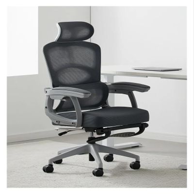 Ren Sheng Computer Chair, Study Dining Office Chair Computer Gaming Floor Armrest Office Chair Ergonomic Accent Rome Furniture, Ren-874158