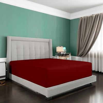 100% Egyptian Cotton Twin XL Fitted Sheet, 24 inch Drop Pocket | High Thread Count Ultra Soft Luxury & Breathable Fitted Bedsheet Perfect for Hotel, Bedroom | 39inch x 80inch by Gorayoo