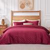 ALPHA HOME Velvet Quilt Set Extra Queen Size Bedspread Coverlet Set, Elegant and Stylish 3D Air Layer Velvet Coverlet Set, Lightweight All Season Bedding Set(1 Coverlet, 2 Pillow Shams) view 1