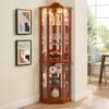 Lighted Corner Display Curio Cabinet Wooden Shelving Unit with Tempered Glass Door, Bar and Liquor Storage Area with 5 Shelves, Wine Cabinet with Curved Top Carving, Oak view 1