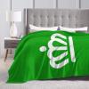 Flag of Charlotte, North Carolina (Green) Throw Blanket for Men Women Couch Bed Sofa Throw Blanket 60"x50" Blankets view 4