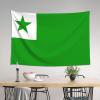 SMLBNE Flag of Esperanto Soft Plush Tapestry - Versatile Decor for Bedroom, Living Room, Dorm - 60x40 In view 3