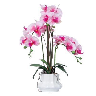 CXGS Artificial Orchid Flower Plant 20.9'' Realistic Latex Faux Orchids in Ceramic Vase Light Pink Fake Phalaenopsis Flower Arrangement Orchids with Spotted Stems for Centerpiece Table Home Decor