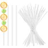 50 Pcs Acrylic Lollipop Sticks 8 Inch Cake Pop Sticks Clear Round Stir Rod Reusable Cake Topper Sticks Acrylic Strip for Making Candy Dessert Lollipops Cake Cookie Pop Sticks DIY (3mm Diameter) view 1