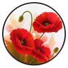 Coasters for Drinks Round Mug Mats Non-Slip Drink Coaster Set Poppy Flowers Vivid Petals Tabletop Protection Mat Novelty Drink Cup Mat for Wine Glass Tea Coffee Home Decor Gift view 1