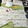 YySXIQ Lightweight Summer Cooler Quilt, Lightweight Comforter Summer Quilt Soft Bedspread, Cooler Comforter, Washable Quilts Quilted Blanket for All Season(N,150x200cm), 610038 view 3