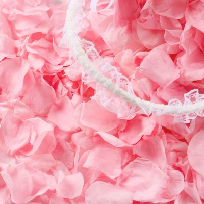 Eslibin 300 PCS Real Pink Dried Rose Petals Confetti for Wedding, 2.82oz Freeze Rose Petals for Romantic Wedding Valentine's Day Proposal Decor, Dinner Table Centerpieces Party
